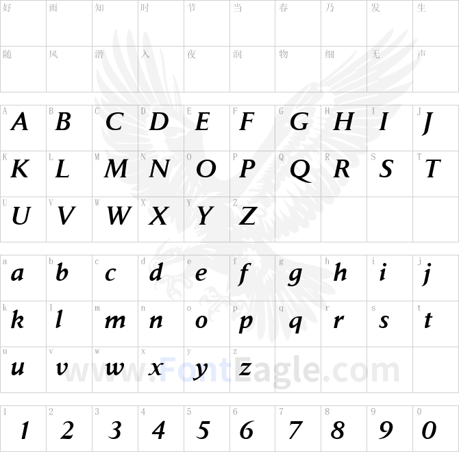 Daily-News-Medium-Italic