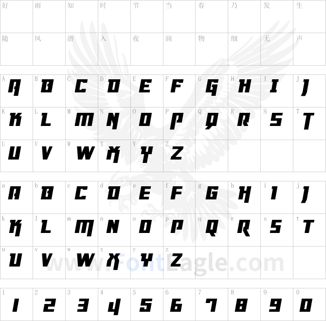 Danger-Flight-Expanded-Italic