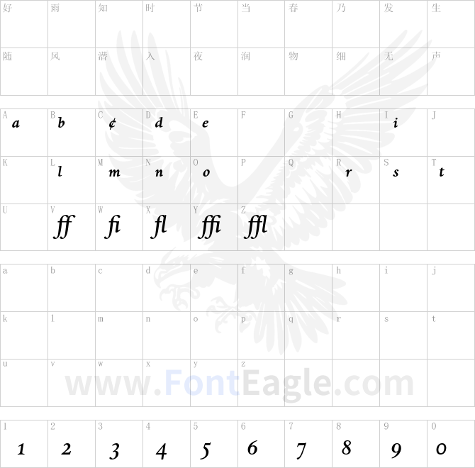 DanteMT-MediumItalicExpert