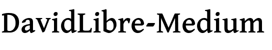 David Libre Medium Regular.ttf