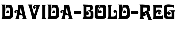 Davida Bold Regular.ttf