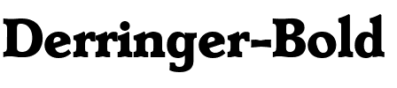 Derringer-Bold Regular.ttf