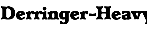 Derringer-Heavy Regular.ttf