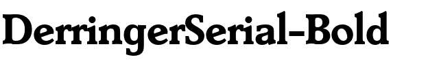 DerringerSerial Bold.ttf