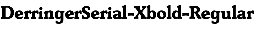 DerringerSerial-Xbold Regular.ttf