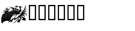 Design1 Regular.ttf