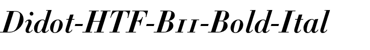 Didot Bold.otf