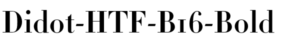 Didot Bold.otf