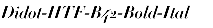 Didot Bold.otf