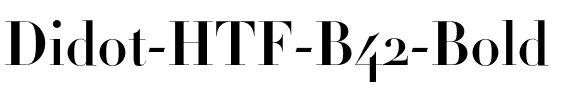 Didot Bold.otf