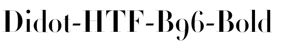 Didot Bold.otf