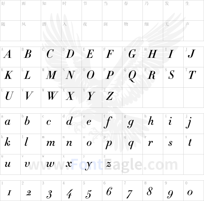 Didot-HTF-M06-Medium-Ital