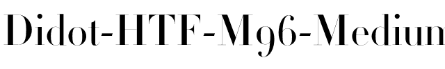 Didot Medium.otf