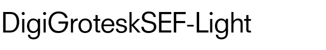 DigiGroteskSEF-Light Regular.otf