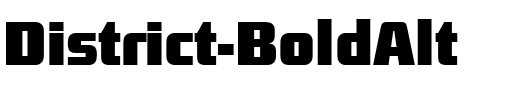 District-BoldAlt Regular.ttf