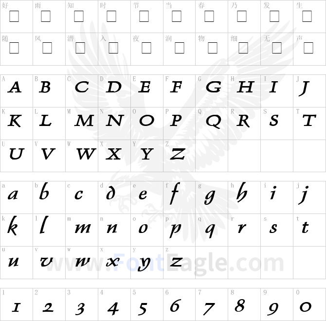 Dolphin-Wide-Bold-Italic