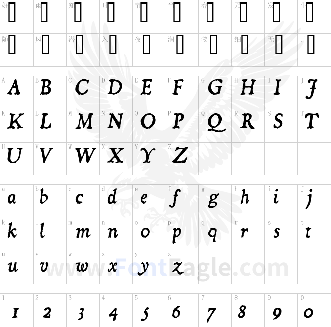 Dominican-Italic-copy-2-