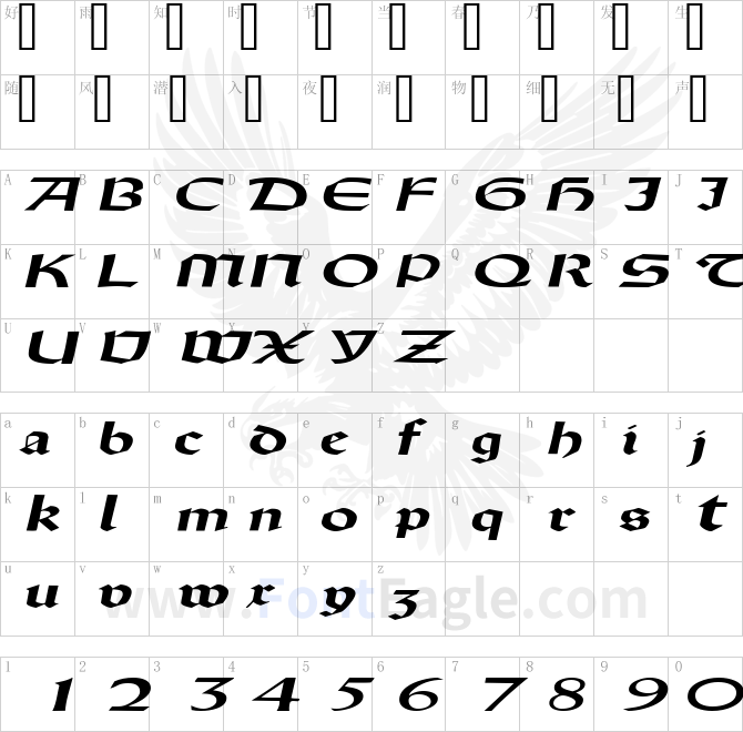 DriscollSSK-BoldItalic