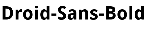 Droid Sans Bold.ttf