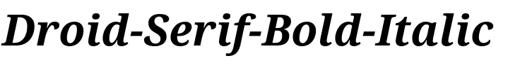 Droid Serif Bold Italic.ttf