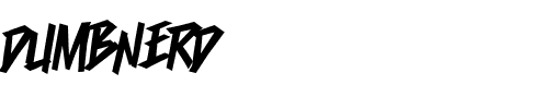 Dumbnerd Regular.ttf