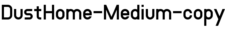 DustHome Medium.ttf
