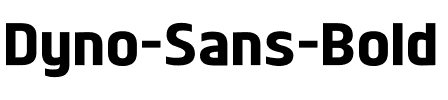 Dyno Sans Bold.ttf