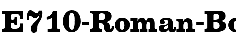 E710-Roman Bold.ttf