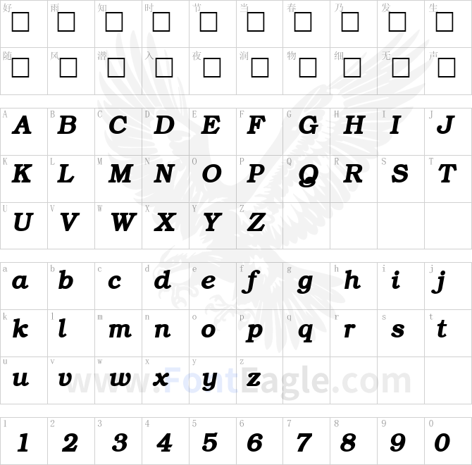 ER-Bukinist-Mac-Bold-Italic