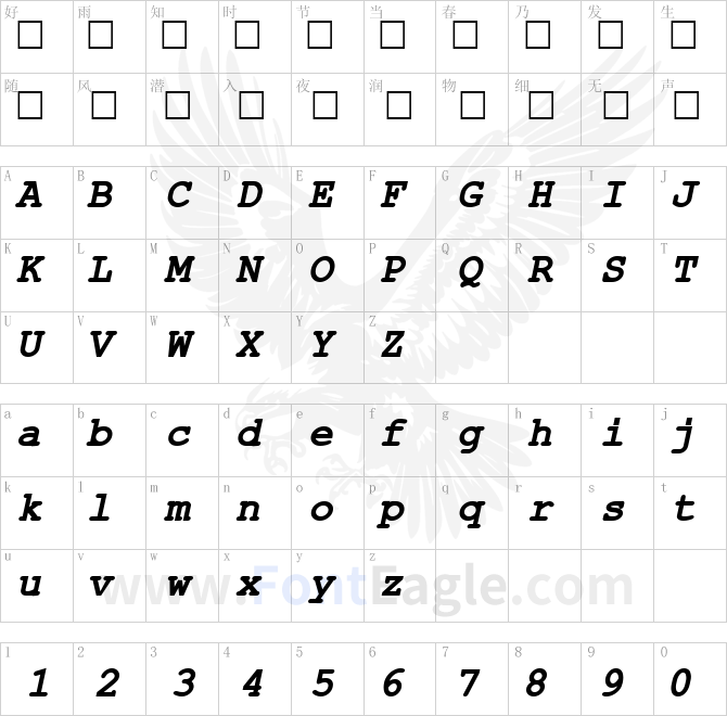 ER-Kurier-1251-Bold-Italic