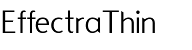 EffectraThin Regular.ttf