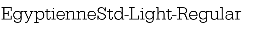 EgyptienneStd-Light Regular.ttf