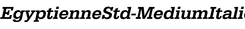 EgyptienneStd MediumItalic.ttf