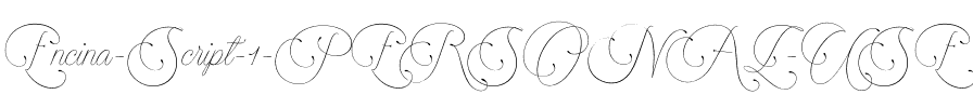 Encina Script 1 PERSONAL USE Regular.ttf