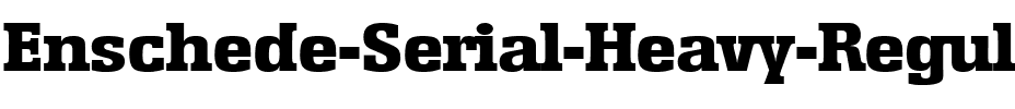 Enschede-Serial-Heavy Regular.ttf