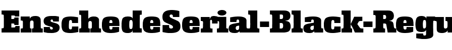 EnschedeSerial-Black Regular.ttf