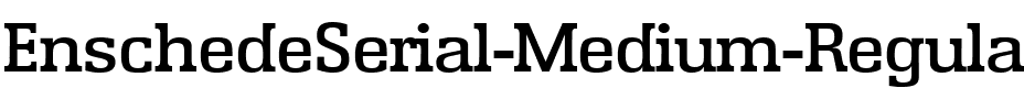 EnschedeSerial-Medium Regular.ttf