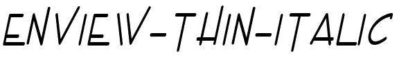 Enview Thin Italic.ttf