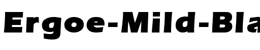 Ergoe-Mild Black Regular.ttf