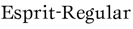 Esprit Regular.ttf