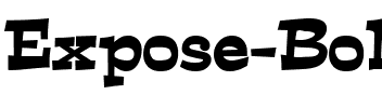 Expose Bold.ttf