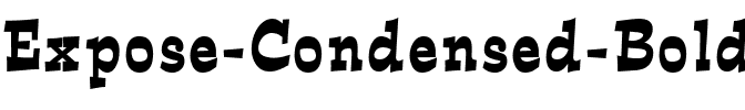 Expose Condensed Bold.ttf