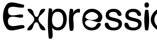 Expression Regular.ttf