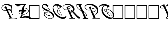 FZ SCRIPT 14 LEFTY Normal.ttf