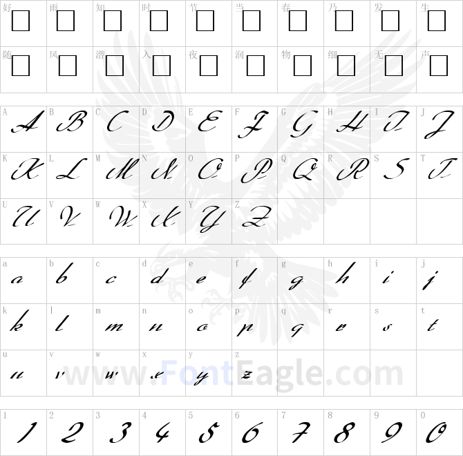 FZ-SCRIPT-20-ITALIC