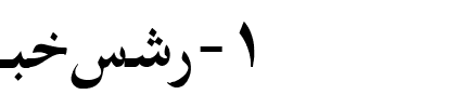 Farsi 1.1 Normal.ttf