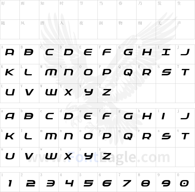 Federal-Service-Expanded-Italic