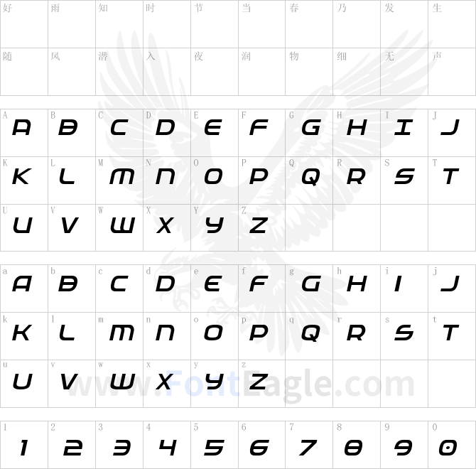 Federal-Service-Light-Italic