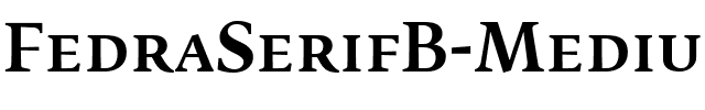 FedraSerifB Medium.ttf