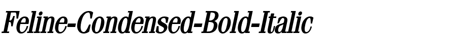 Feline-Condensed Bold Italic.ttf